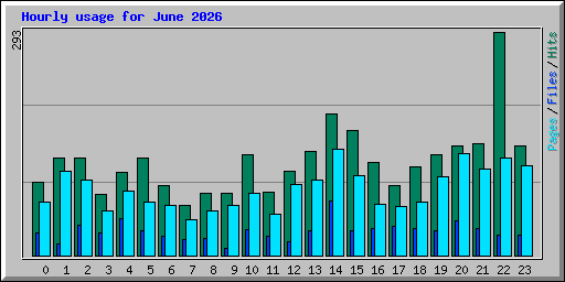 Hourly usage for June 2026