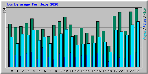 Hourly usage for July 2026